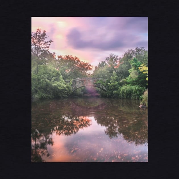 Central Park Sunset Reflection by igjustin